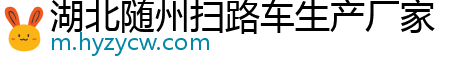 湖北随州扫路车生产厂家